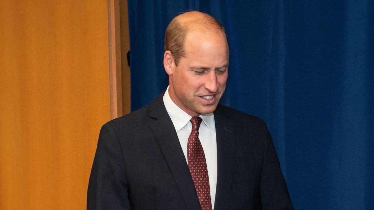 Princ William vyzval k ukončení bojů v Gaze